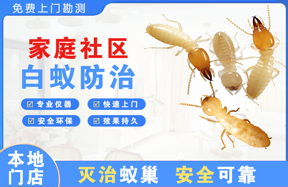 斗门家庭社区白蚁防治