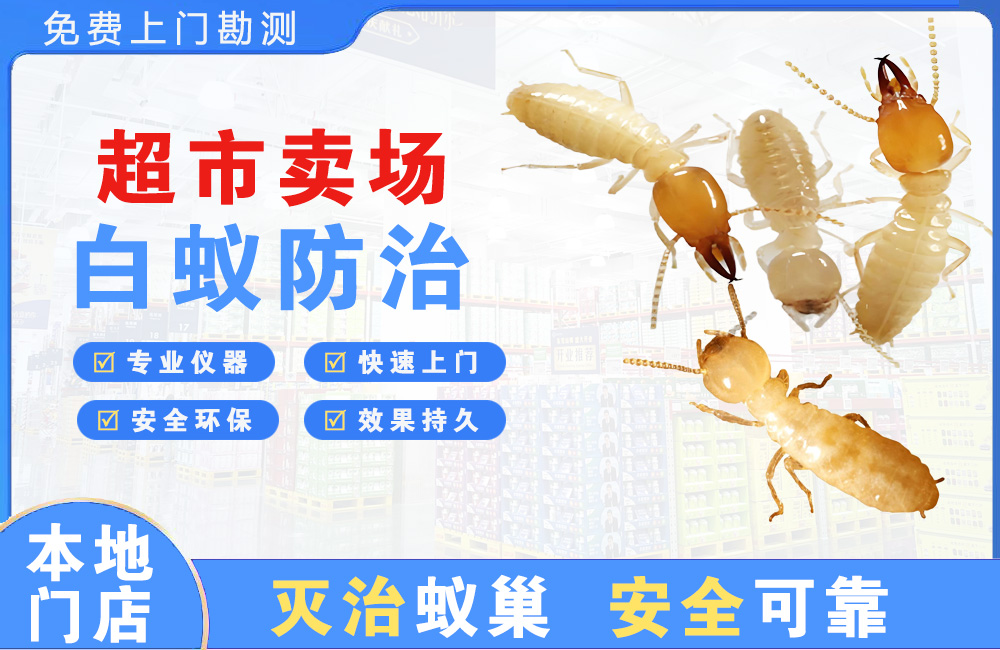 斗门超市卖场白蚁防治