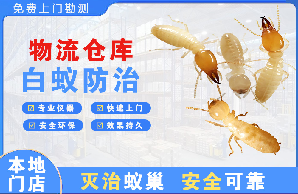 斗门物流仓库白蚁防治