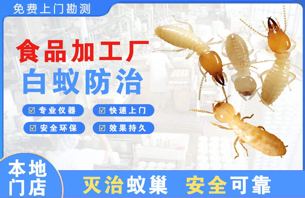 斗门食品加工厂白蚁防治