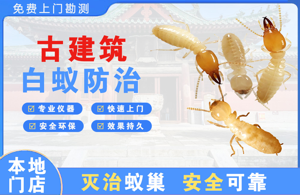 斗门古建筑白蚁防治